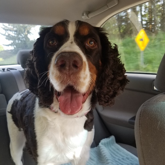 Meet your Posh Ambassador, Grace Horton! - Picture 3 of 6